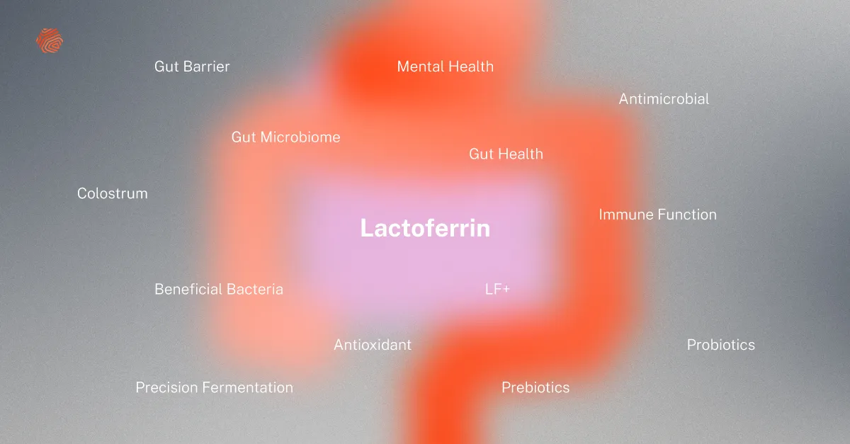 Lactoferrin: How It Works to Protect Your Gut
